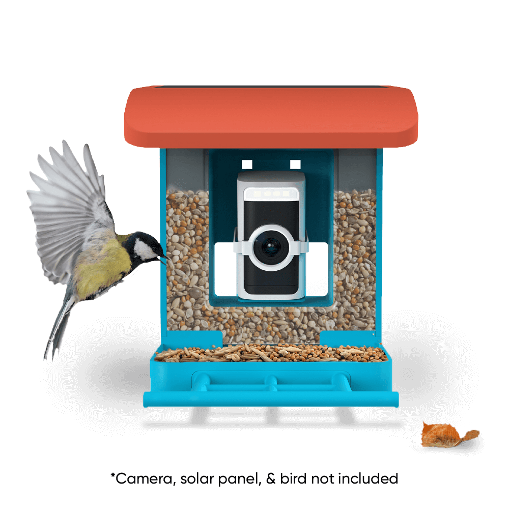 wyze-bird-feeder-wyze-labs-inc-117650.png
