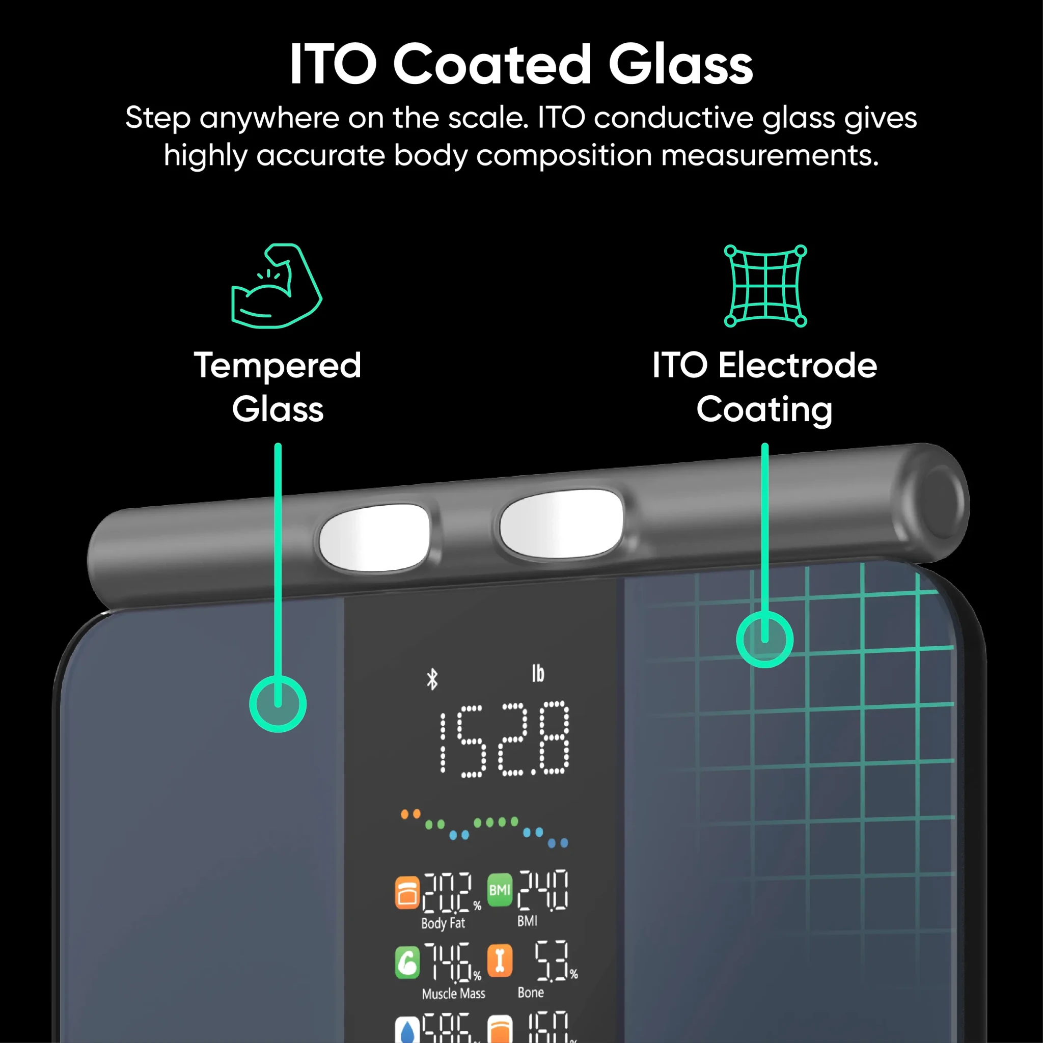 wyze-scale-bodyscan-wyze-labs-inc-2817229.png