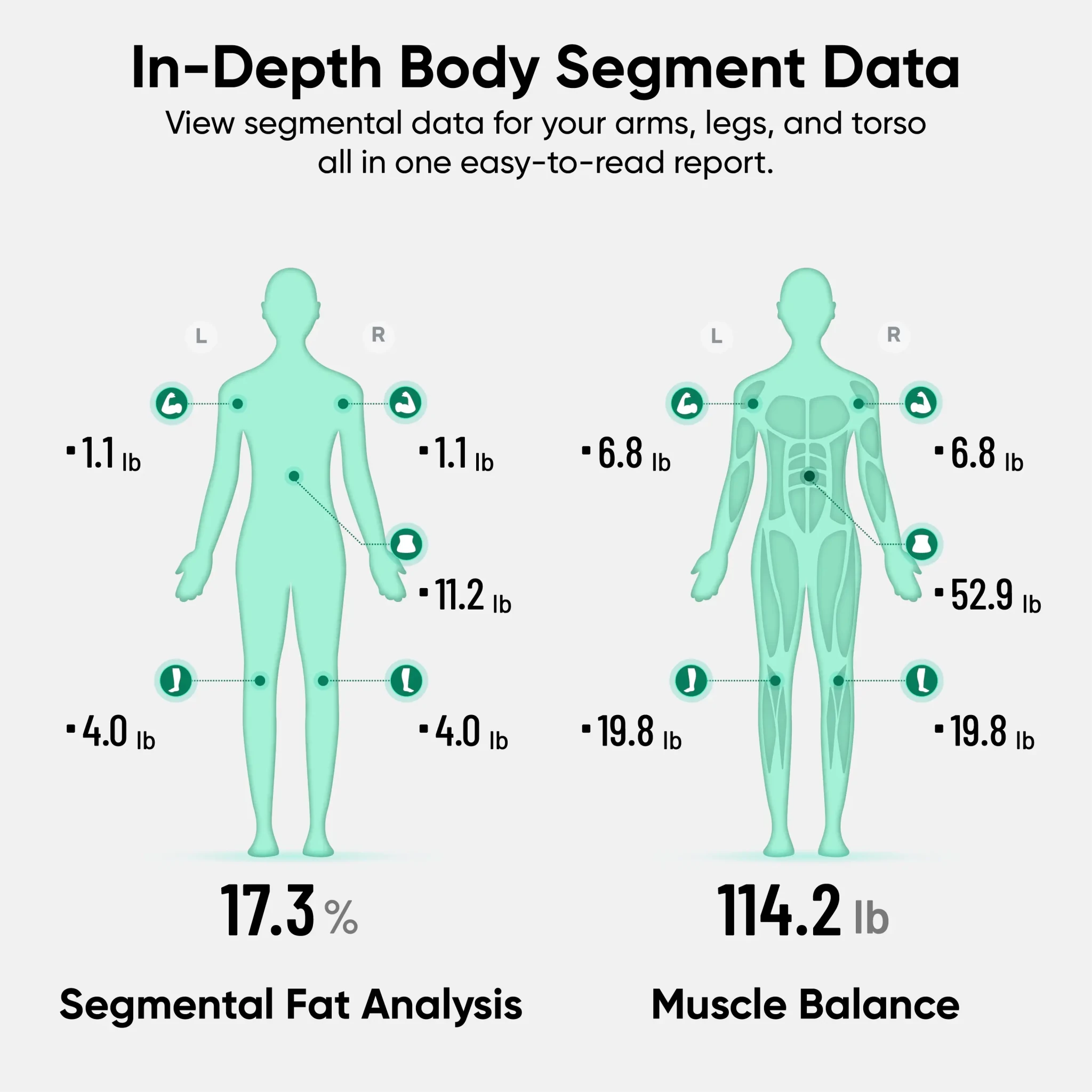 wyze-scale-bodyscan-wyze-labs-inc-7382348.png