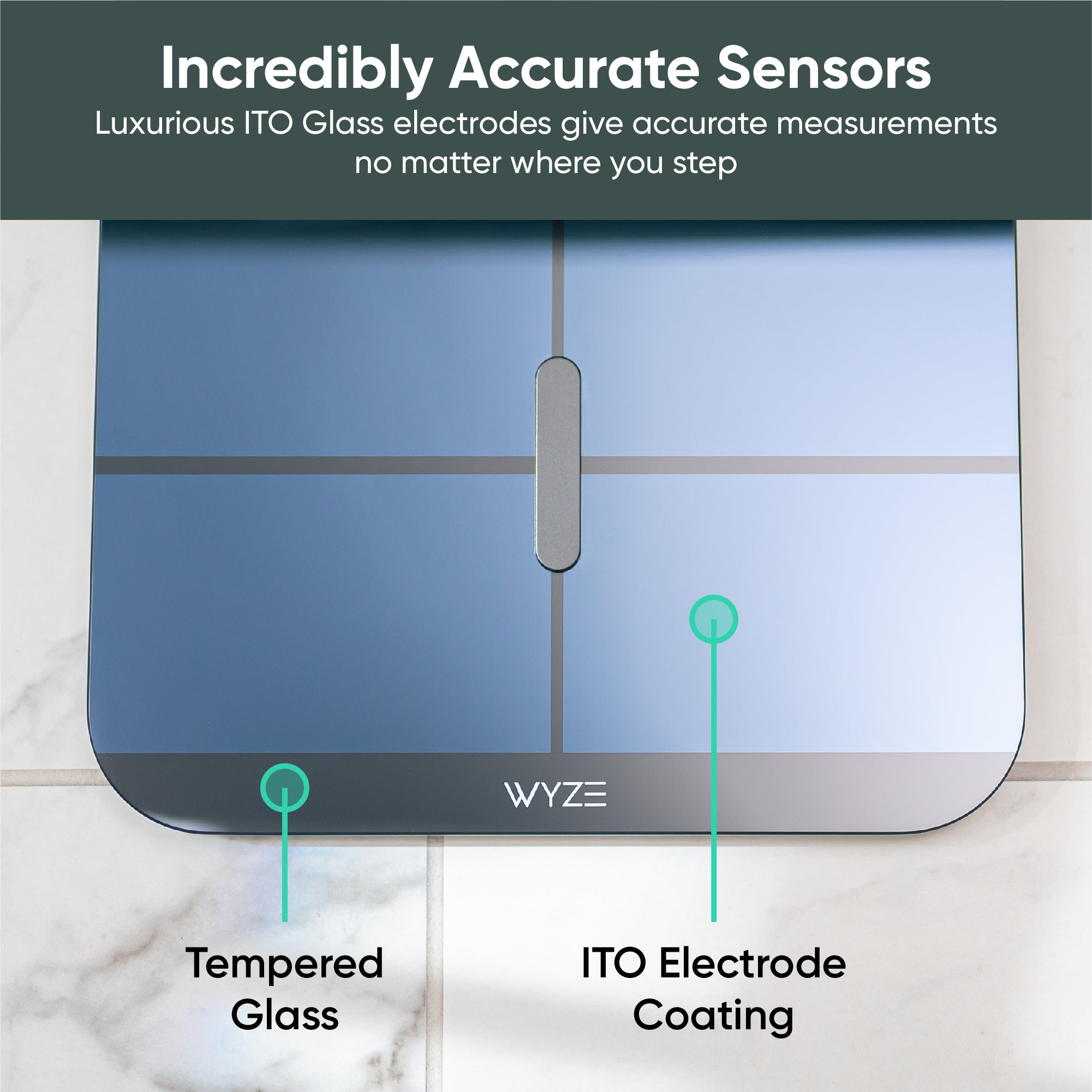 wyze-scale-x-wyze-labs-inc-554804.jpg